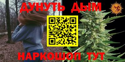 apvp Абакан