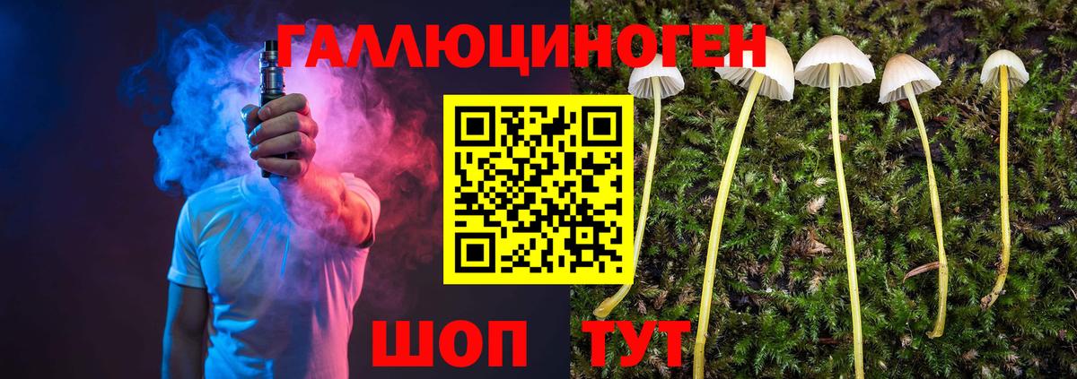 Псилоцибиновые грибы Psilocybine cubensis Алушта